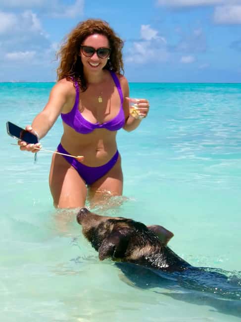 Nassau: Swimming Pigs and Private Beach Club Trip with Lunch - Key points to know before booking