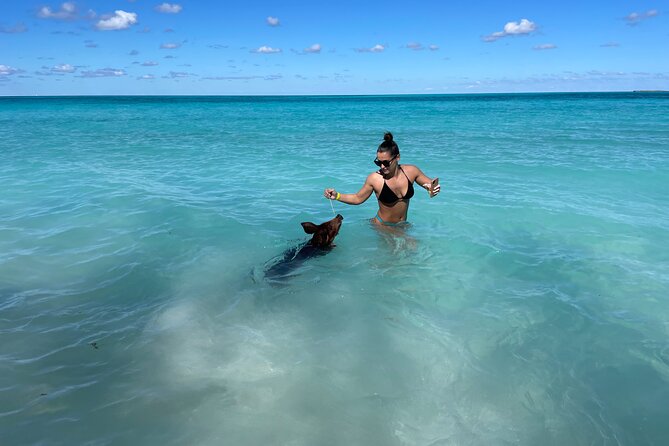 Nassau: Swimming Pigs And Snorkel With Turtles - The crew sets the tone
