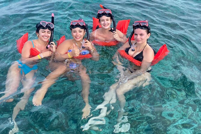 Nassau: Swimming Pigs And Snorkel With Turtles - Timing matters for cruise passengers