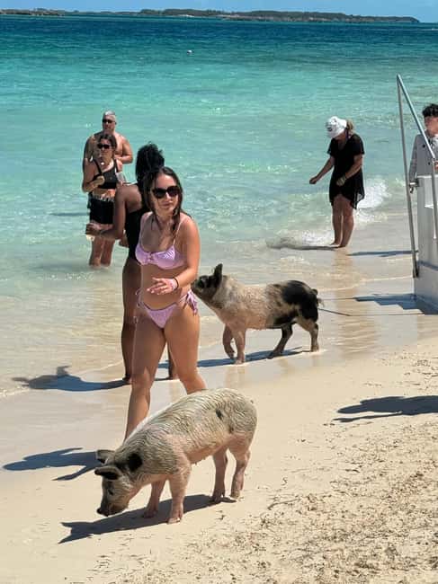 Nassau: Swimming Pigs and Turtles Boat Tour with Snorkeling - Three islands in four hours