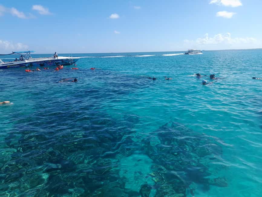 Nassau: Swimming Pigs Private Boat Tour - Up to 7 Persons - Quick facts about this Nassau boat trip