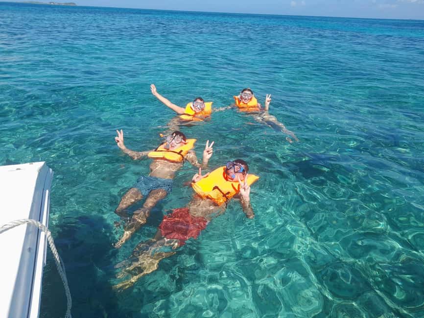 Nassau: Swimming Pigs Private Boat Tour - Up to 7 Persons - FAQ