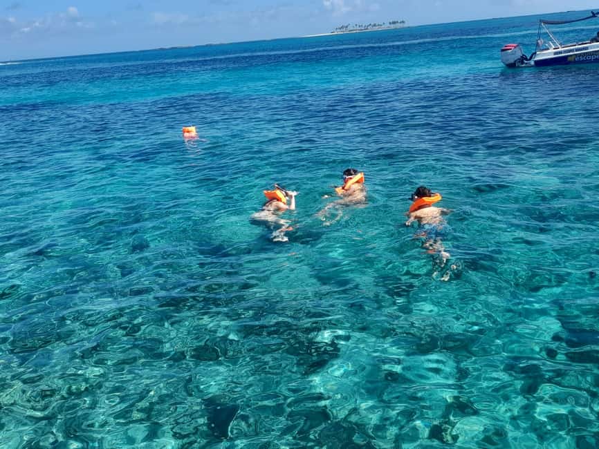 Nassau: Swimming Pigs Private Boat Tour - Up to 7 Persons - Setting out from Elizabeth on Bay