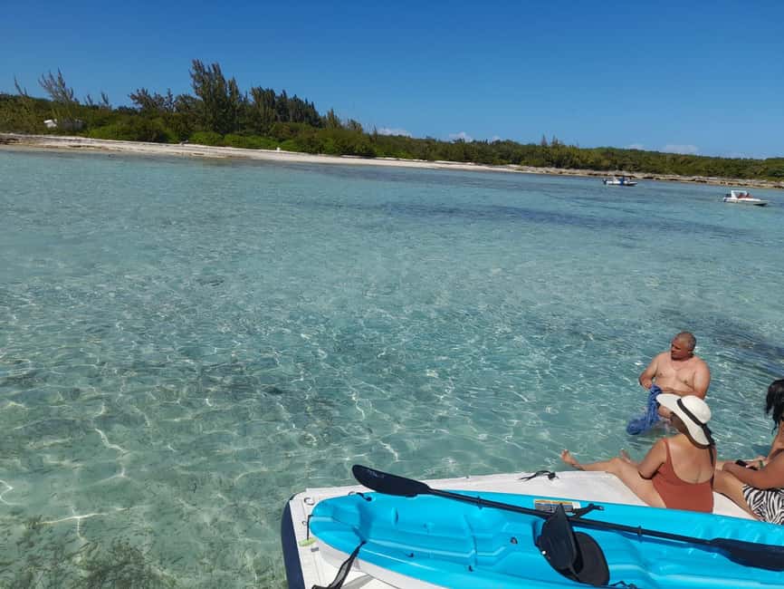 Nassau: Swimming Pigs Private Boat Tour - Up to 7 Persons - What the strongest feedback tells you
