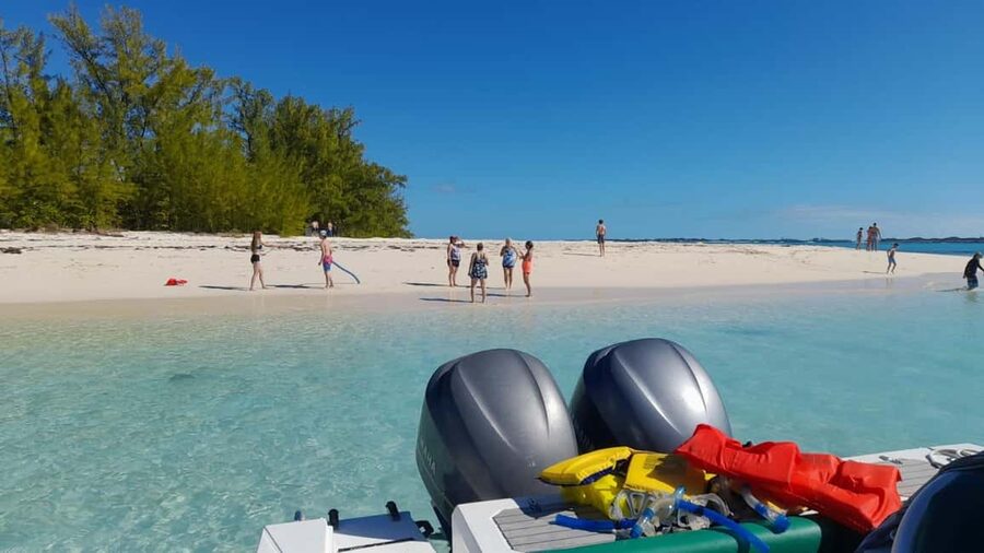Nassau: Swimming Pigs Private Boat Tour - Up to 7 Persons - Who will enjoy this private Nassau outing