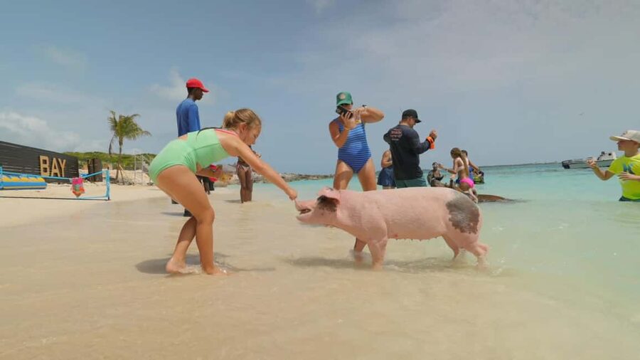 Nassau: Swimming Pigs, Snorkeling, Lunch, & Beach Boat Tour - Snorkeling over the reef