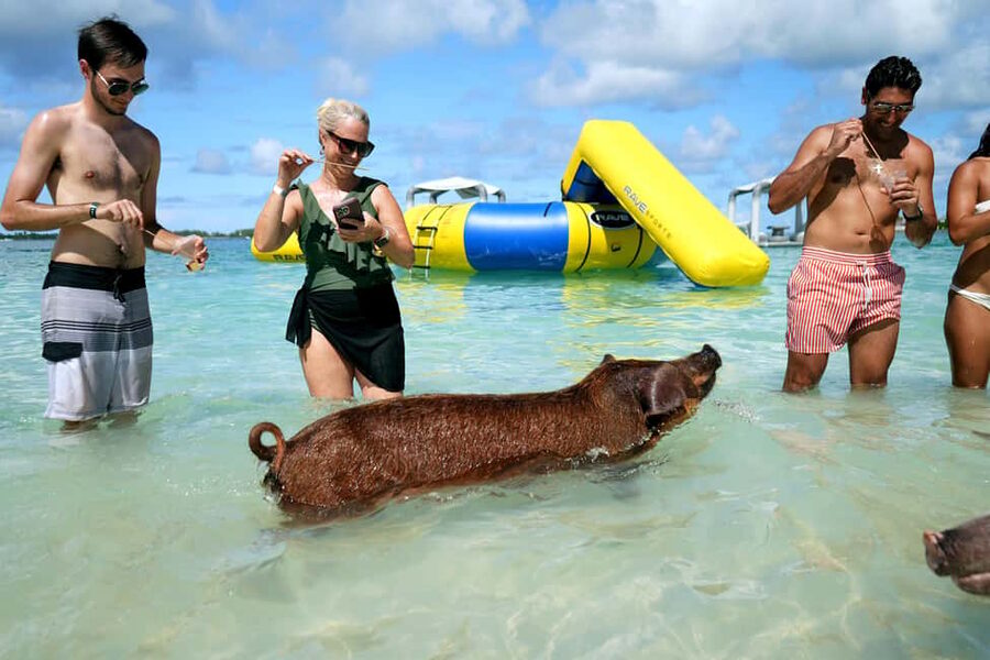Nassau: Swimming Pigs, Snorkeling, Lunch, & Beach Boat Tour - Meeting the swimming pigs near Athol Island