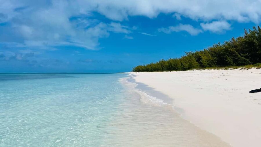 Nassau: Swimming with Pigs, Snorkeling, and Sightseeing Tour - Practical advice for a smoother outing