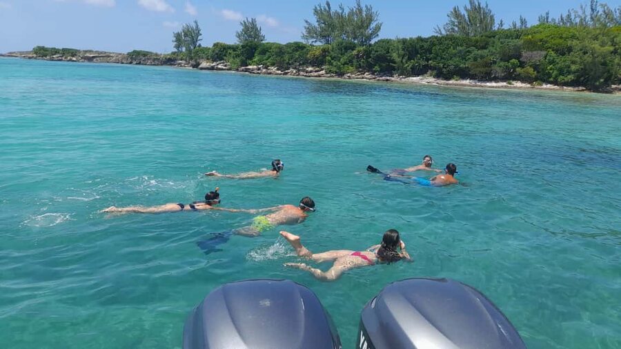 Nassau: Swimming with Pigs, Snorkeling, and Sightseeing Tour - Pig Island and the extra-cost swim