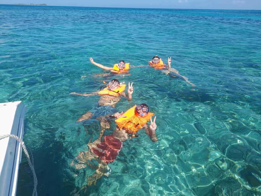 Nassau: Swimming with Pigs, Snorkeling, and Sightseeing Tour - Who will enjoy this Nassau boat tour?