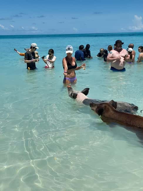 Nassau: Swimming with Pigs, Snorkeling, and Sightseeing Tour - Paradise Island views and the open-water ride