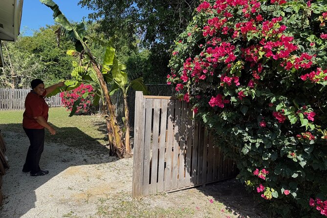 NEW! Authentic Bahamian Cooking and Cocktails with Transfers - Who will enjoy this Nassau experience most