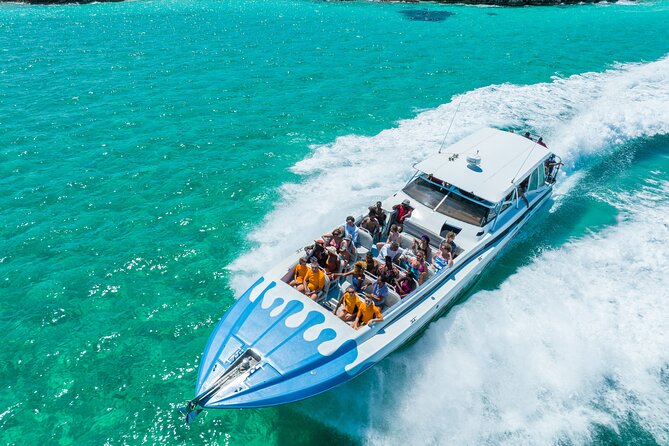 Original Exuma Powerboat Adventures - Sharks, stingrays, pigs, and the limits of animal encounters