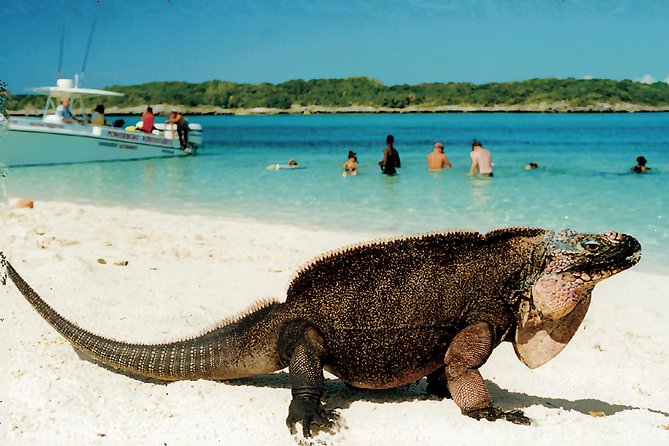 Original Exuma Powerboat Adventures - Snorkeling the reef and handling the current
