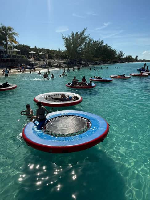 Paradise Found In Hog Haven: Ultimate Beach Escape - Key points to know before you book
