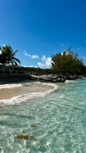 Paradise Found In Hog Haven: Ultimate Beach Escape - The beach bar adds energy, with costs and noise