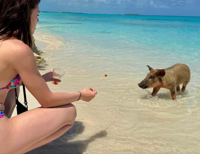 Paradise Found In Hog Haven: Ultimate Beach Escape - Should you book Paradise Found in Hog Haven?
