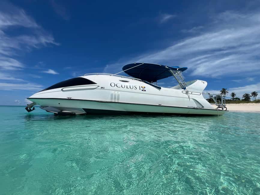 Paradise Island: Glass-Bottom Boat Tour with Live Commentary - How to prepare for a smoother ride