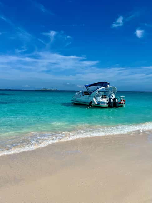Paradise Island: Glass-Bottom Boat Tour with Live Commentary - Cutting across Nassau Harbor by hydrofoil