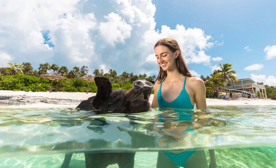 Paradise Island: Rose Island Tour with Swimming Pigs & Lunch - The 25-minute boat ride from Paradise Island
