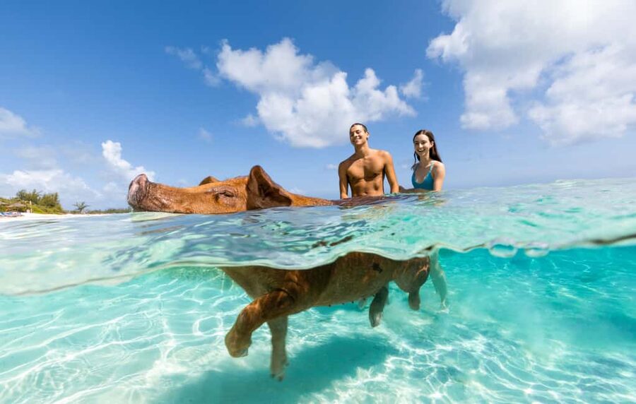 Paradise Island: Rose Island Tour with Swimming Pigs & Lunch - Snorkeling with guides and safety support