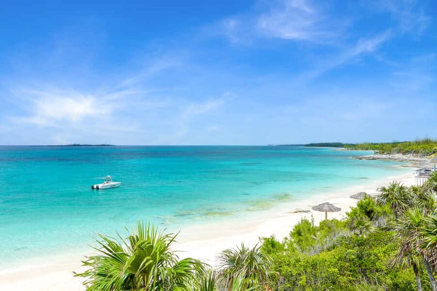 Paradise Island: Rose Island Tour with Swimming Pigs & Lunch - What the $252 price really covers