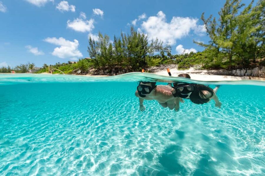 Paradise Island: Rose Island Tour with Swimming Pigs & Lunch - Who will enjoy this Rose Island day most
