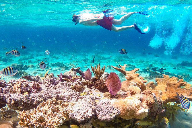 Pearl Island Bahamas Snorkeling Experience and Lunch - First impressions of the private island