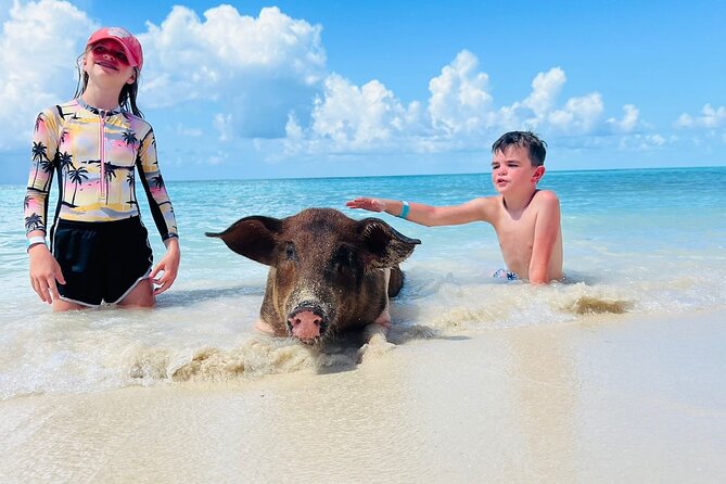 Perfect Day Swimming Pigs, Turtles, Reef Snorkel & Lunch - What makes this Nassau boat day worth considering