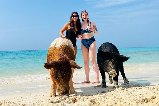 Perfect Day Swimming Pigs, Turtles, Reef Snorkel & Lunch - A 30-minute reef snorkel near Atholl Island