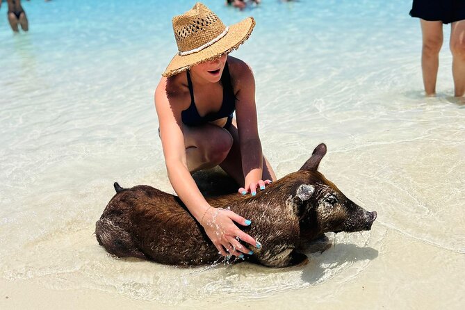 Perfect Day Swimming Pigs, Turtles, Reef Snorkel & Lunch - Rose Island’s private beach club