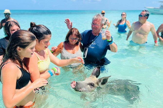 Perfect Day Swimming Pigs, Turtles, Reef Snorkel & Lunch - Lunch, rum punch, and what is really included