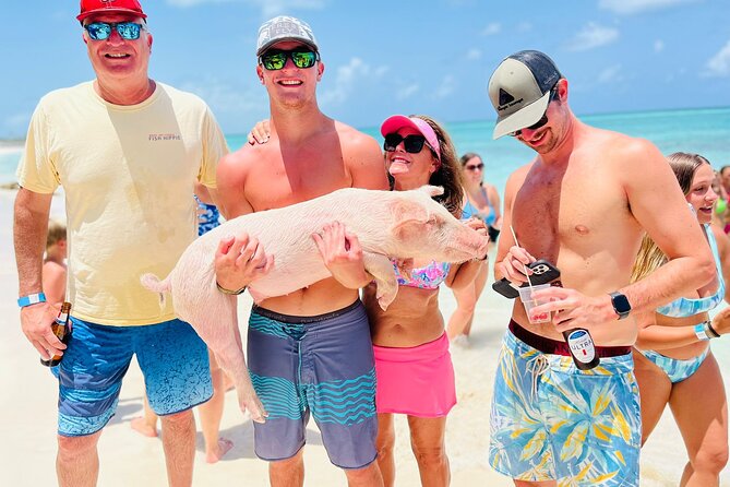 Perfect Day Swimming Pigs, Turtles, Reef Snorkel & Lunch - How the $189 price measures up
