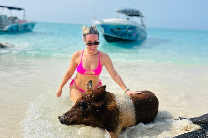 Perfect Day Swimming Pigs, Turtles, Reef Snorkel & Lunch - Green Cay turtle watching from the boat