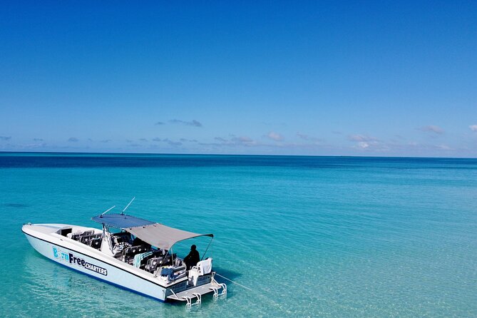 Pink Sand Beach and Swimming Pigs Adventure from Nassau - One hour on Pink Sands Beach