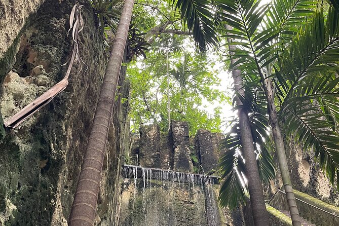 Pirates a Shore Adventure & Queens Staircase Tour Nassau - Fort Montagu and the wider harbor defenses