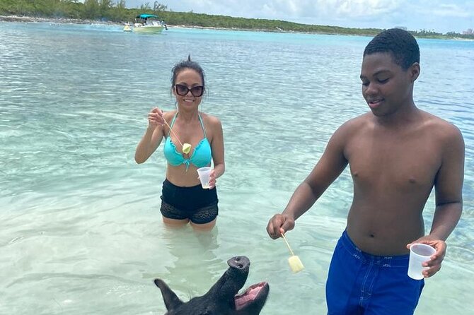 Powerboat and Snorkel Experience with Swimming Pigs and Turtles - What this New Providence boat trip is really like