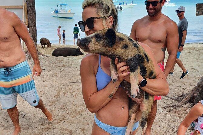 Powerboat and Snorkel Experience with Swimming Pigs and Turtles - Timing, weather, and cancellation rules