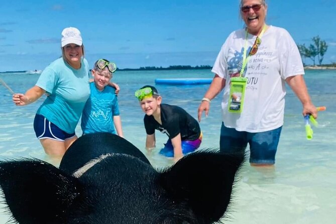 Powerboat and Snorkel Experience with Swimming Pigs and Turtles - Rose Island reefs and the first splash
