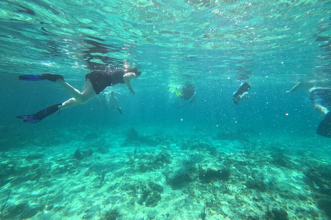 Private 2-Hour Tour in Nassau - Coral reef stops and the glass-bottom option