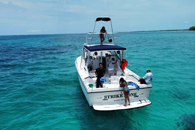 Private 38' Defender Sportfishing/Swim with Pigs in Nassau - The Price: Strong for Seven, Costly for Two