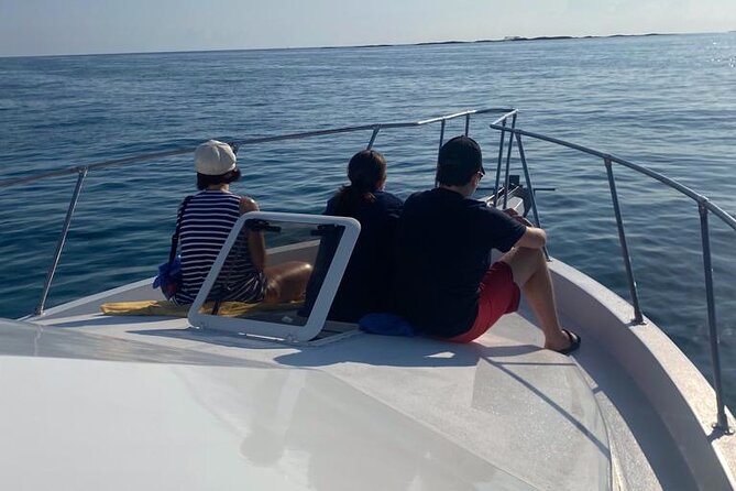 Private 38' Defender Sportfishing/Swim with Pigs in Nassau - What the 38-Foot Defender Means for Your Day