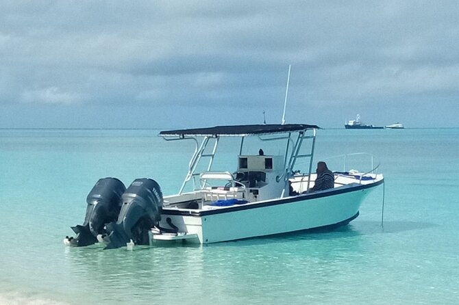 Private 4 hour Rose Island tour snorkeling fishing - Five things to know before you book