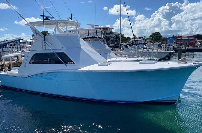 Private 45 Hatteras Sportfishing in Nassau - The thrill and uncertainty of deep-sea fishing