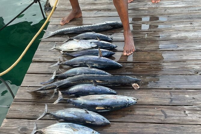 Private 6 Hour Fishing Charter in Nassau - What the Strong Service Record Means for You