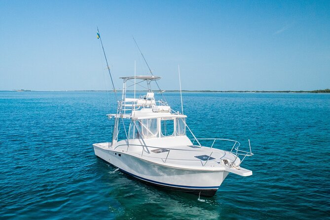 Private Bahamas Half-Day Fishing Tour from New Providence - Two hours focused on fishing near the Bahamas