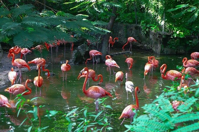 Private Beach Day/Guided TourThrough New Providence Island - At a Glance: What This Nassau Tour Delivers