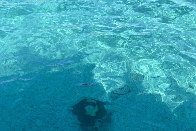 Private Beach Day Snorkeling and Swimming with Pig in Rose Island - A four-hour escape from Nassau