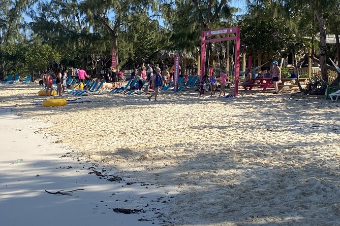 Private Beach Day Snorkeling and Swimming with Pig in Rose Island - What the $1,400 group price really means
