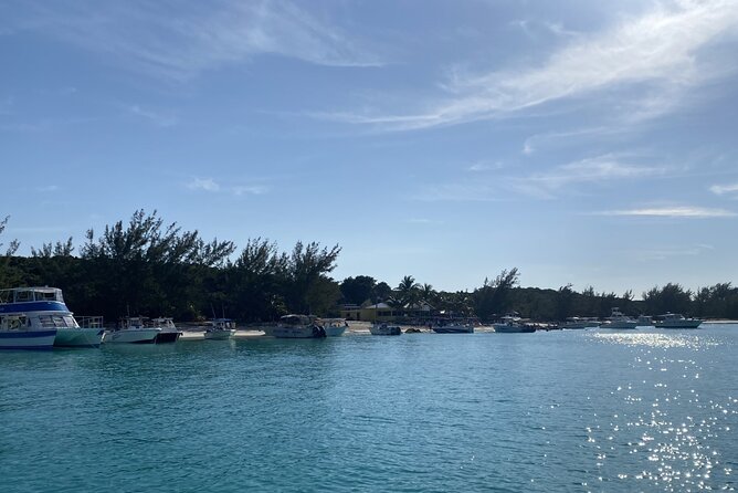 Private Beach Day Snorkeling and Swimming with Pig in Rose Island - Who will enjoy this private tour most